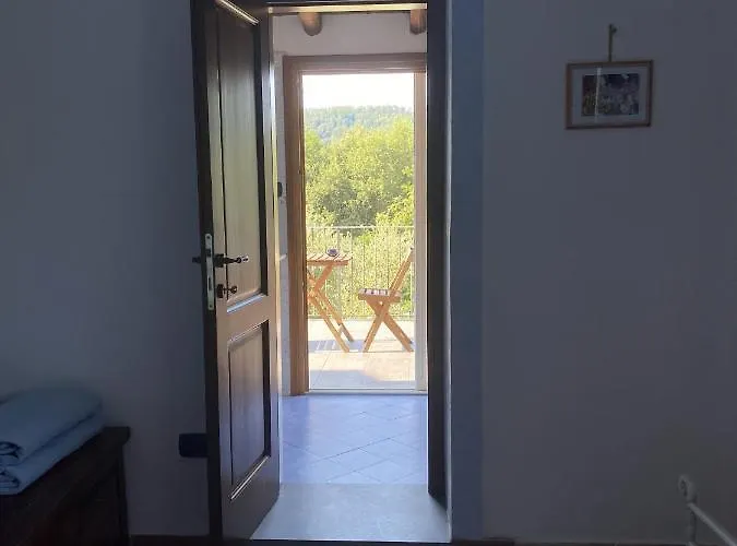 Il Cargedo مولاتْسو