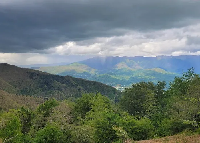 Il Cargedo فندق 3*